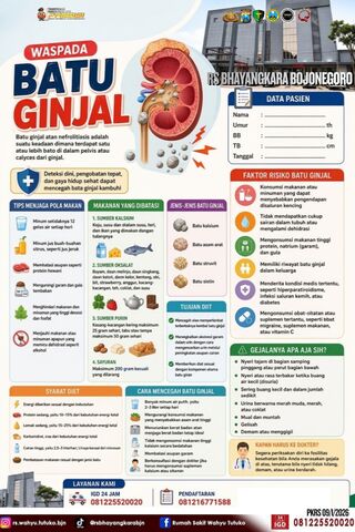 Waspada Batu Ginjal